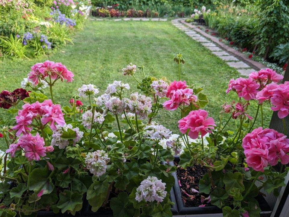 ��� �������� ���������� ��������� ���� ����